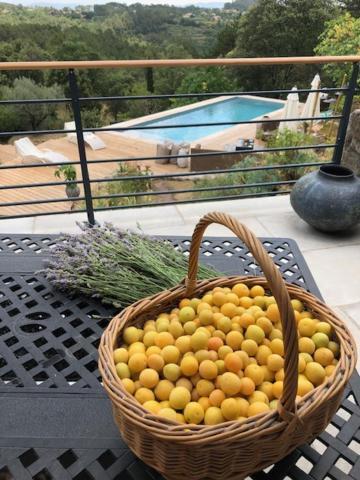 Les Assions Idyllic French Farmhouse מראה חיצוני תמונה